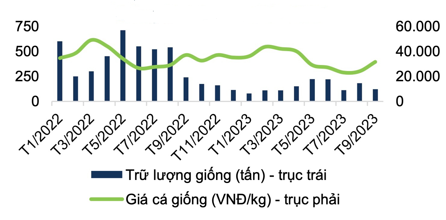 Trữ lượng và giá cá giống tại đồng bằng sông Cửu Long theo tháng giai đoạn 2022 - 2023. (Nguồn: FPTS)
