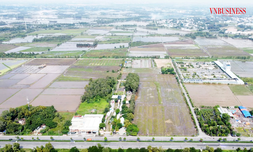 Đất nền vùng ven TP.HCM vẫn khó thanh khoản dù lượng tìm kiếm đã tăng trở lại.