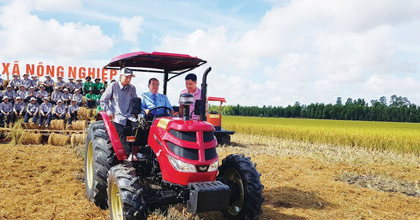Nông nghiệp là nền tảng của kinh tế An Giang.