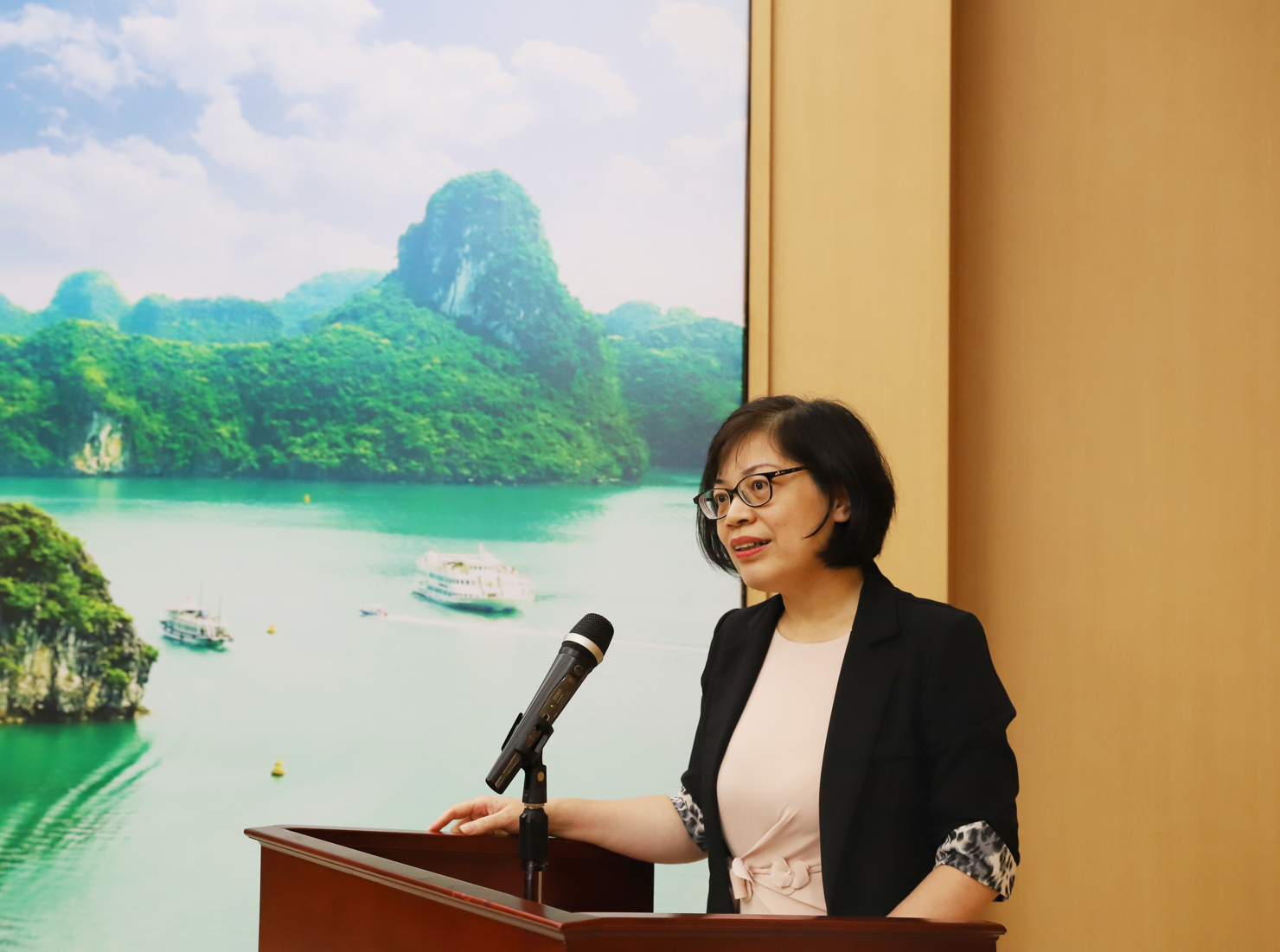 B&agrave; Ho&agrave;ng Diệu Linh - Ph&oacute; Vụ trưởng Vụ Hợp t&aacute;c quốc tế tr&igrave;nh b&agrave;y b&aacute;o c&aacute;o tổng kết tại hội nghị.