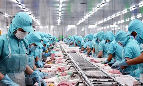 Ngay từ đầu tháng 12, nhóm cổ phiếu thủy sản đã bắt đầu có dấu hiệu tích cực, thu hút dòng tiền trở lại.