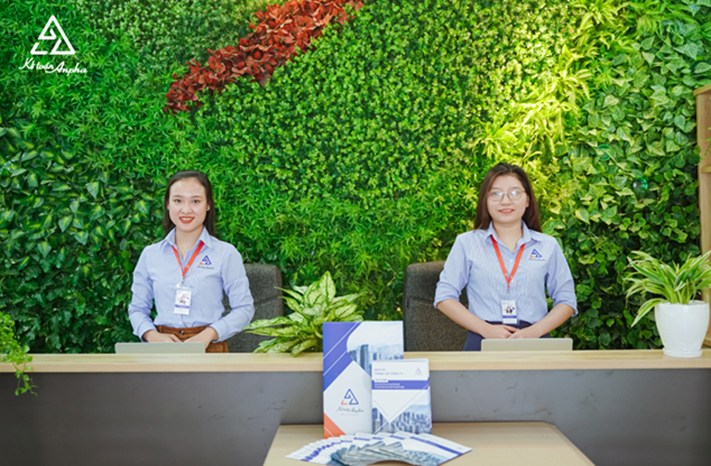 Kế to&aacute;n Anpha - Gi&uacute;p bạn đơn giản h&oacute;a c&aacute;c thủ tục ph&aacute;p l&yacute;
