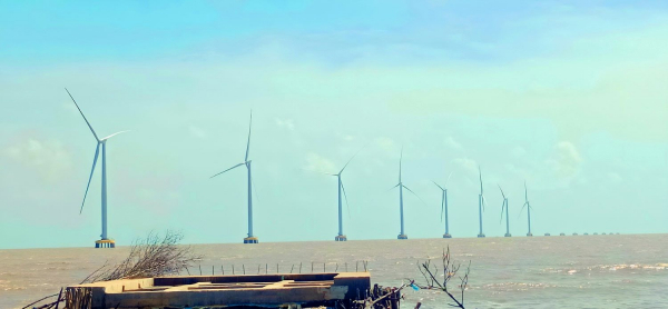Quy hoạch Bạc Liêu thành trung tâm sản xuất và xuất khẩu năng lượng tái tạo của cả nước.