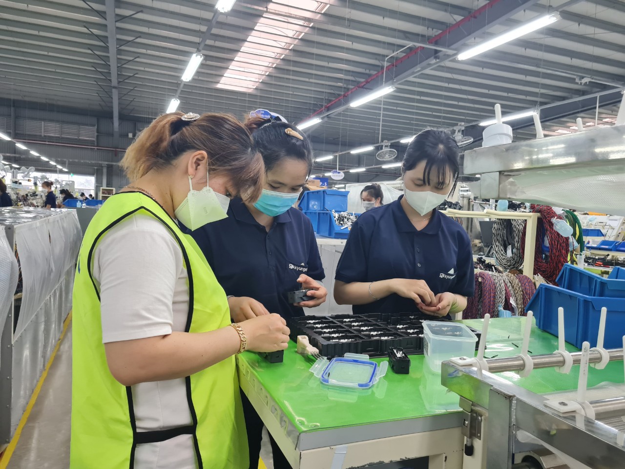 Cà Mau tập trung thực hiện cơ cấu lại kinh tế gắn với chuyển đổi mô hình phát triển theo hướng nâng cao chất lượng.