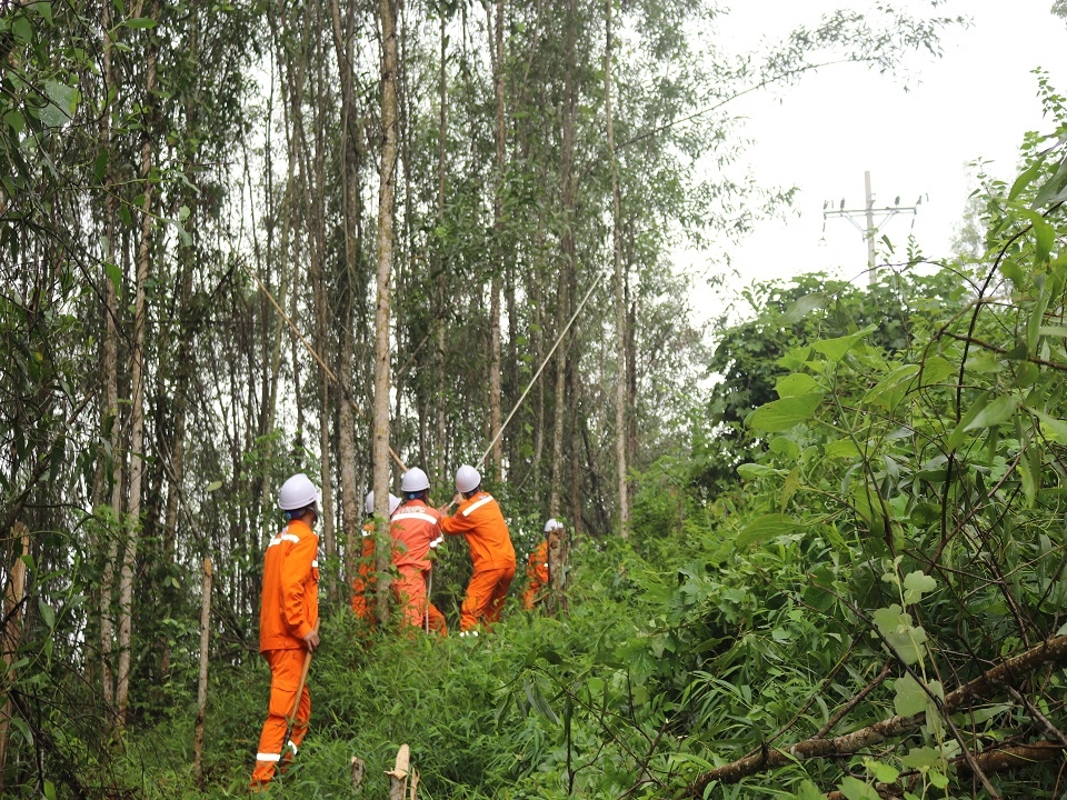 Công ty Điện lực Nghệ An đã triển khai các phương án diễn tập phòng chống thiên tai và tìm kiếm cứu nạn cho các đơn vị trực thuộc.