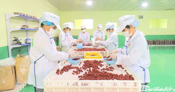 Bắc Kạn là tỉnh thu ngân sách thấp nhất và duy nhất của cả nước thu dưới 1.000 tỷ đồng. Ảnh: Toán Nguyễn.