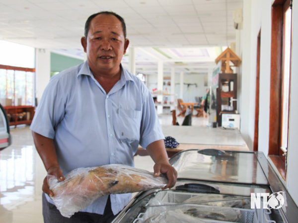 HTX Tổng hợp nông nghiệp 3 Hưng ở xã Nhơn Hải chuẩn bị nguồn hải sản tươi sống để phục vụ người tiêu dùng trong dịp tết Nguyên đán.Ảnh: K.Hân