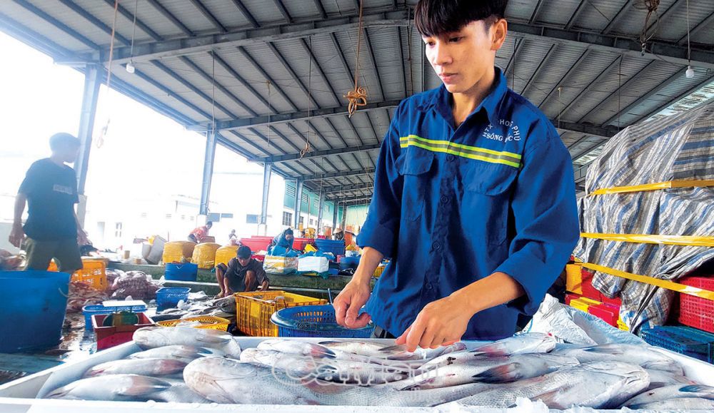 Chế biến sâu để nâng cao giá trị gia tăng của sản phẩm sau khai thác.. Ảnh: Huỳnh Lâm