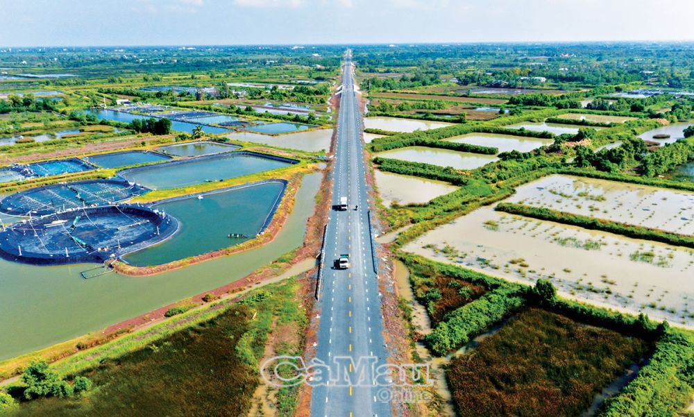 Từ vùng đất với ao đầm, vuông tôm, tuyến tránh Quốc lộ 1 sẽ mở đường phát triển đô thị TP. Cà Mau về hướng Nam. Ảnh: Trần Nguyên