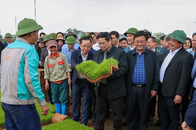 Thủ tướng Phạm Minh Chính thăm khu vực sản xuất mạ khay và cánh đồng gieo sạ bằng máy - Ảnh: VGP/Nhật Bắc