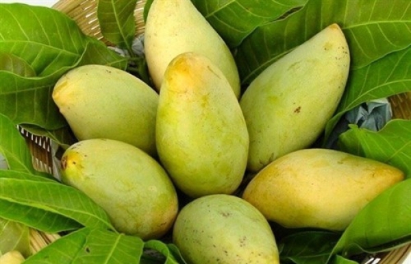 Xuất khẩu nông sản sang Hàn Quốc cần lưu ý quy định mới (ảnh minh họa).