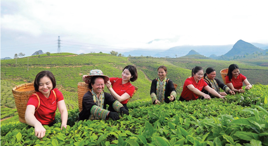 Thời gian tới, Agribank tiếp tục triển khai, thực hiện các chính sách tín dụng phát triển nông nghiệp, nông thôn kết hợp với du lịch cộng đồng