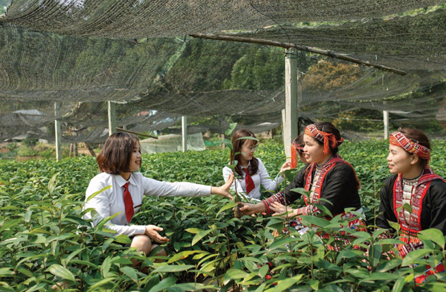 Nhờ nguồn vốn vay từ Agribank Bắc Yên Bái, nhiều hộ dân trên địa bàn tỉnh Yên Bái đã phát triển kinh tế vươn lên làm giàu