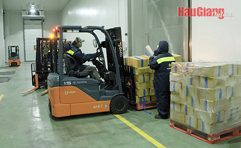 Vấn đề logistics ở ĐBSCL được giải quyết sẽ giúp nông sản tăng sức cạnh tranh. Ảnh: Mộng Toàn