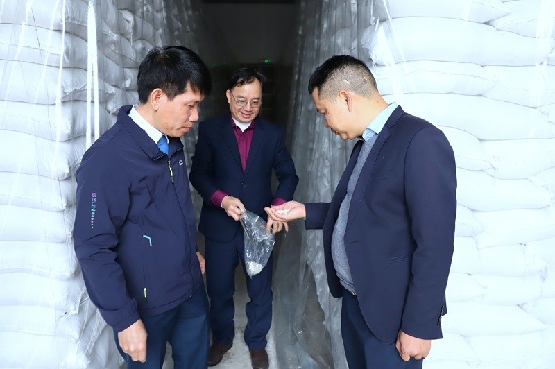 Đo&agrave;n kiểm tra lấy mẫu kiểm tra gạo tại điểm kho tại Chi cục DTNN Thủy Nguy&ecirc;n. Ảnh: Văn Trường
