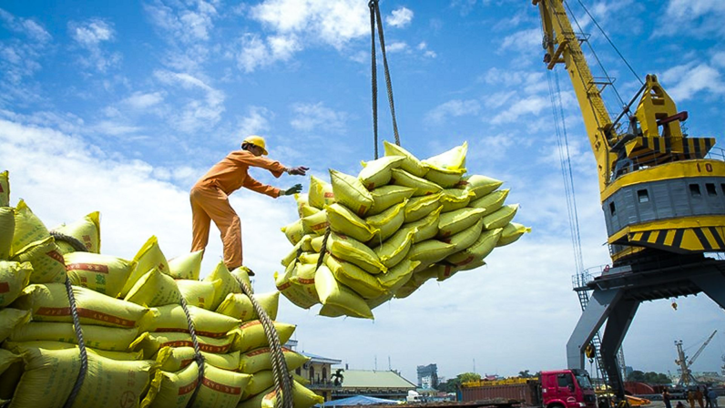Gạo Việt Nam, đặc biệt là gạo 100% tấm "rộng cửa" gia tăng xuất khẩu sang thị trường Senegal. (Ảnh minh họa).