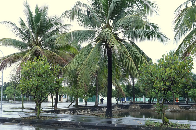 Quang cảnh kho dự trữ Thủy Nguyên luôn duy trì vệ sinh xanh, sạch, đẹp.