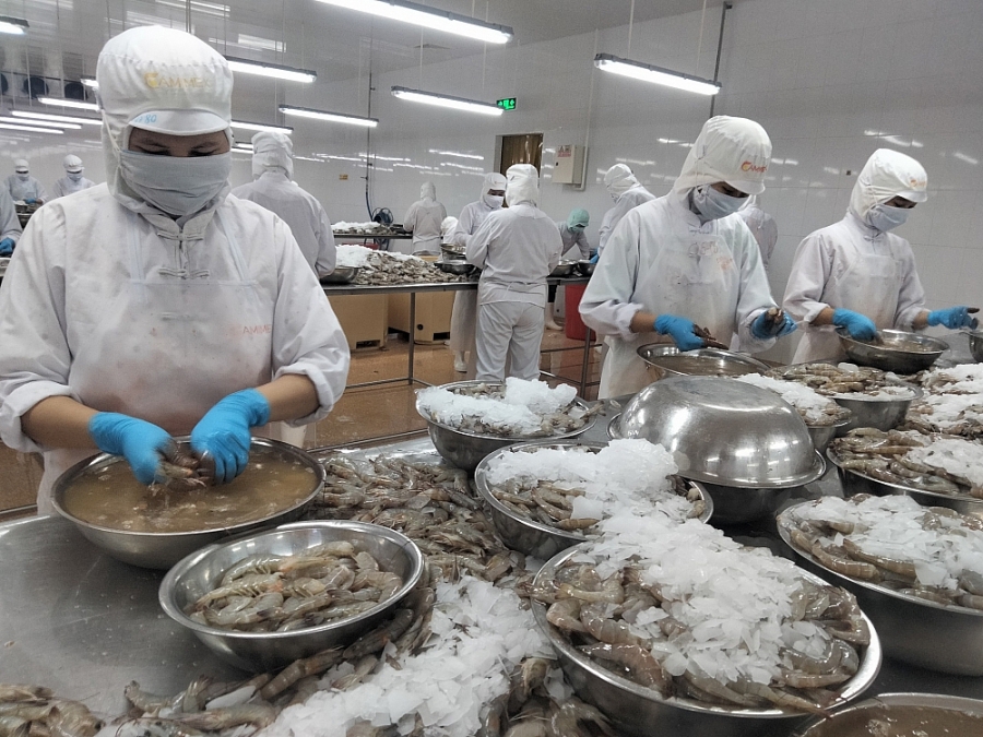 Singapore xem xét hợp nhất các quy định liên quan đến thực phẩm nhằm củng cố chuỗi giá trị thực phẩm, an toàn và an ninh lương thực, bảo vệ người tiêu dùng tốt hơn và đảm bảo nguồn cung thực phẩm cho thị trường này. (Ảnh minh họa)