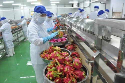 Chỉ khoảng 20% diện tích đất nông nghiệp nằm trong chuỗi liên kết ngành hàng, thậm chí trong số đó không phải chuỗi nào cũng mang tính liên kết bền vững.