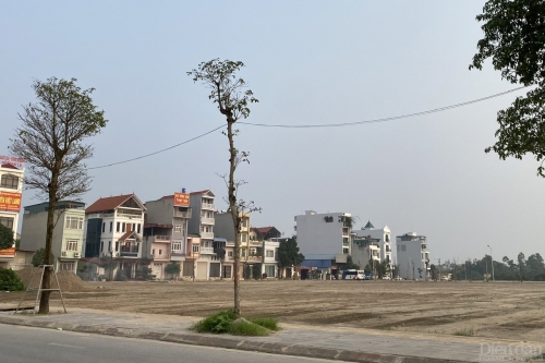 Nhà đầu tư cẩn trọng tránh cuốn theo cơn sốt "ảo". Ảnh: DH