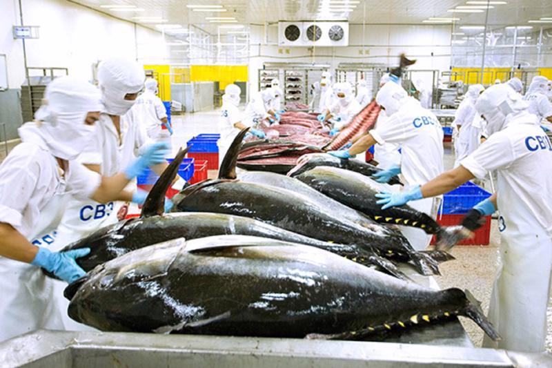 Luỹ kế 4 th&aacute;ng đầu năm 2024, xuất khẩu thuỷ sản Việt Nam đạt tổng cộng 2,7 tỷ USD, tăng 6% so với c&ugrave;ng kỳ năm 2023
