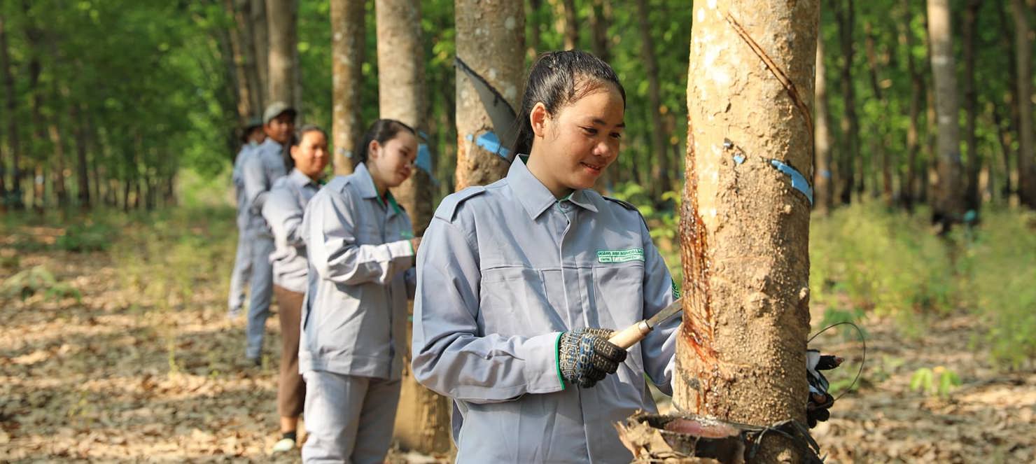 THACO AGRI đẩy mạnh tuyển dụng công nhân tại các địa phương thuộc Lào, Campuchia.