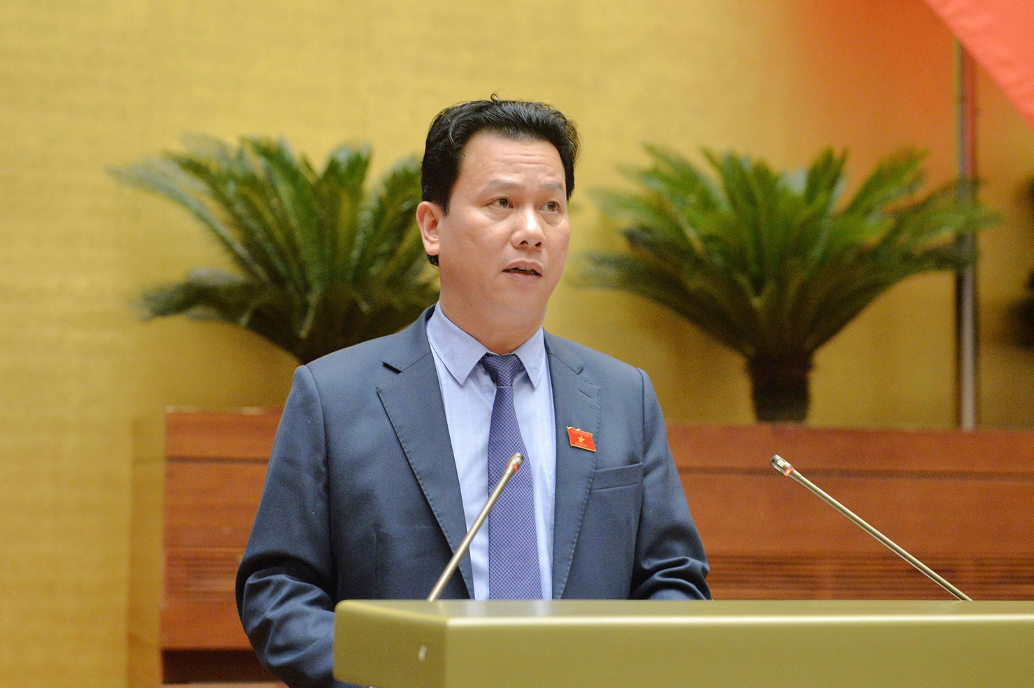 Bộ trưởng Bộ Tài nguyên và Môi trường Đặng Quốc Khánh trình bày Tờ trình dự án Luật trước Quốc hội.
