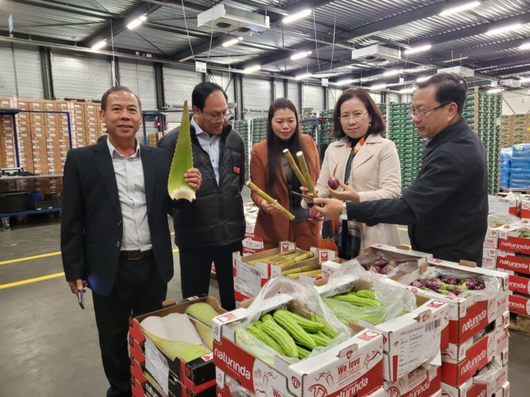 Tại C&ocirc;ng ty dịch vụ vận chuyển quốc tế logistic LBP, Đo&agrave;n đ&atilde; t&igrave;m hiểu về dịch vụ logistics, hệ thống dấm ch&iacute;n v&agrave; đ&oacute;ng g&oacute;i, kiểm so&aacute;t chất lượng sản phẩm.