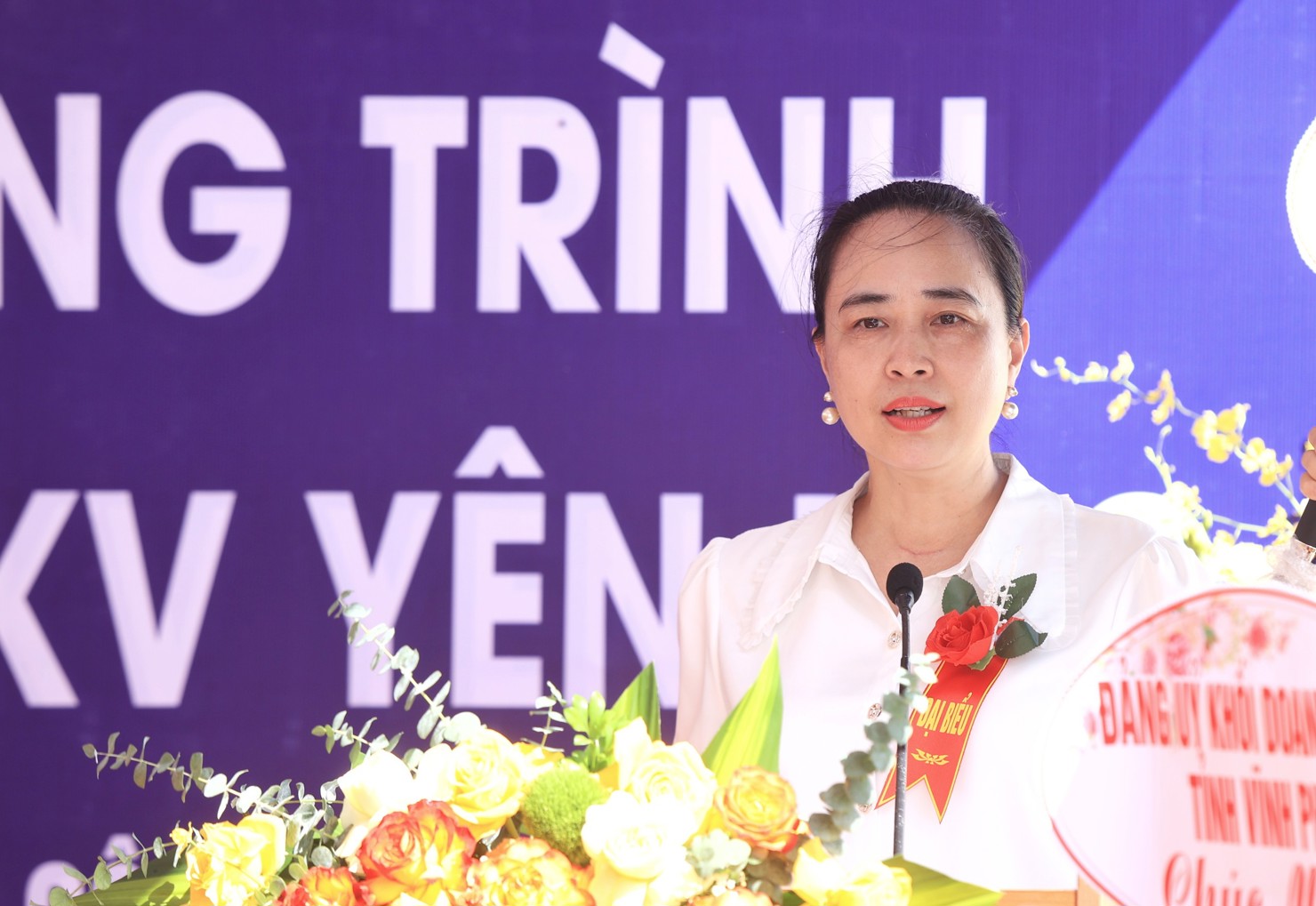 Bà Đỗ Nguyệt Ánh - Chủ tịch HĐTV EVNNPC phát biểu tại buổi Lễ