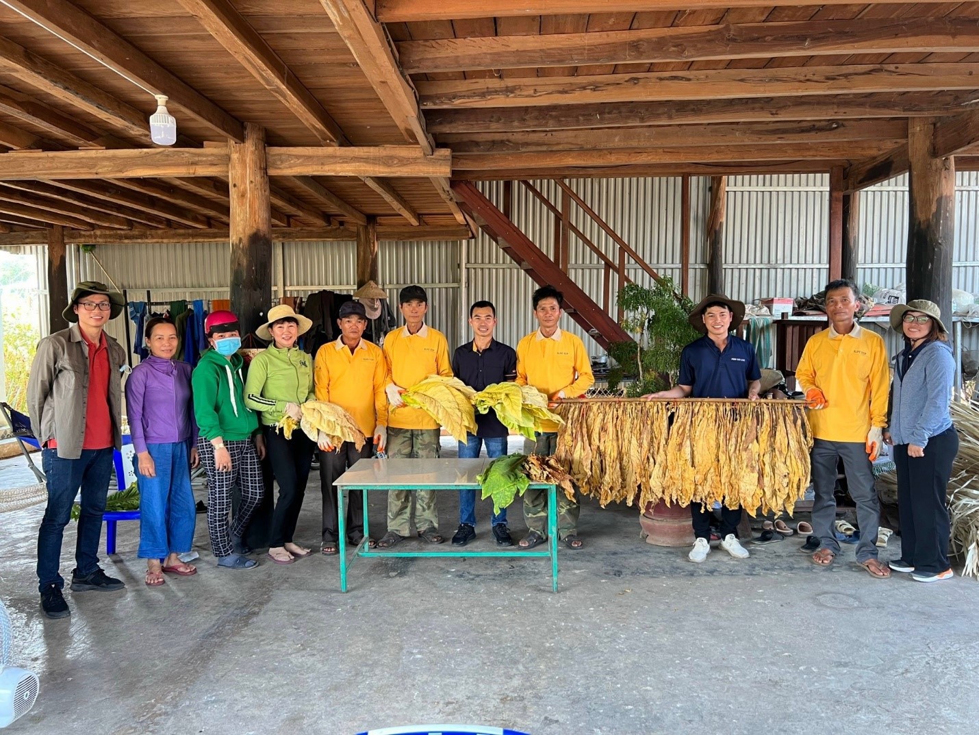 Thu nhập của một hộ nông dân nhờ vào việc trồng thuốc lá chiếm tỷ lệ khá cao tại các vùng khó khăn. 