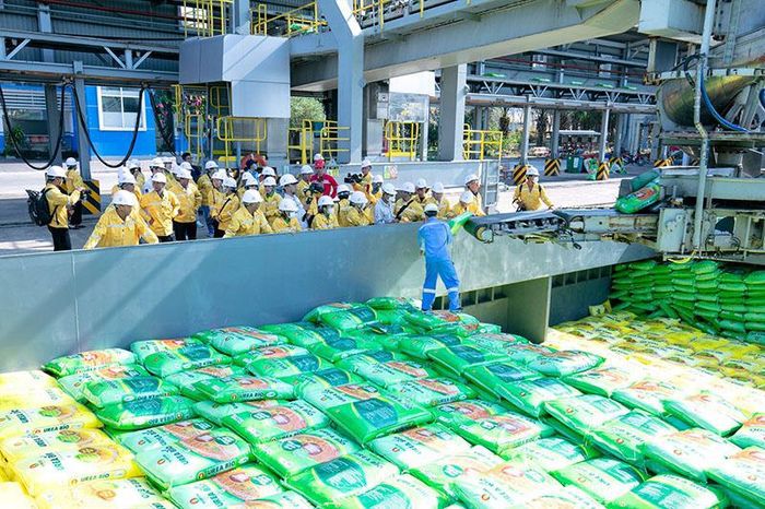 Bộ Tài chính đề xuất áp dụng mức thuế suất thuế GTGT 5% đối với phân bón.