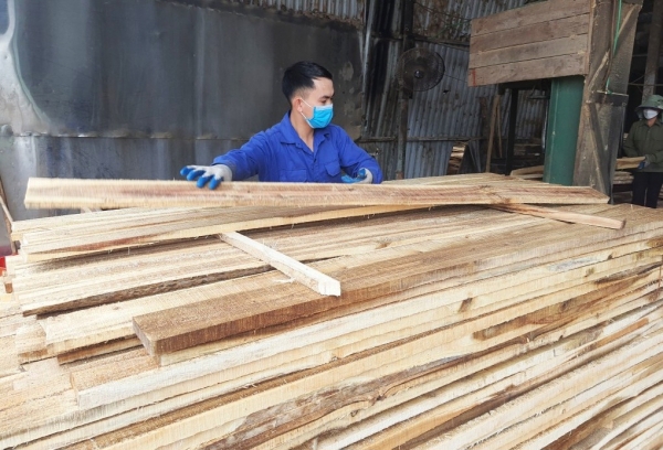 Chế biến gỗ trên địa bàn tỉnh Quảng Ninh. Ảnh: Việt Hoa