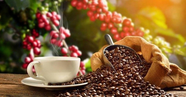 Sau đợt tăng vọt lên sát mức đỉnh lịch sử, giá cà phê Việt Nam đang đứng trước đà giảm mạnh.