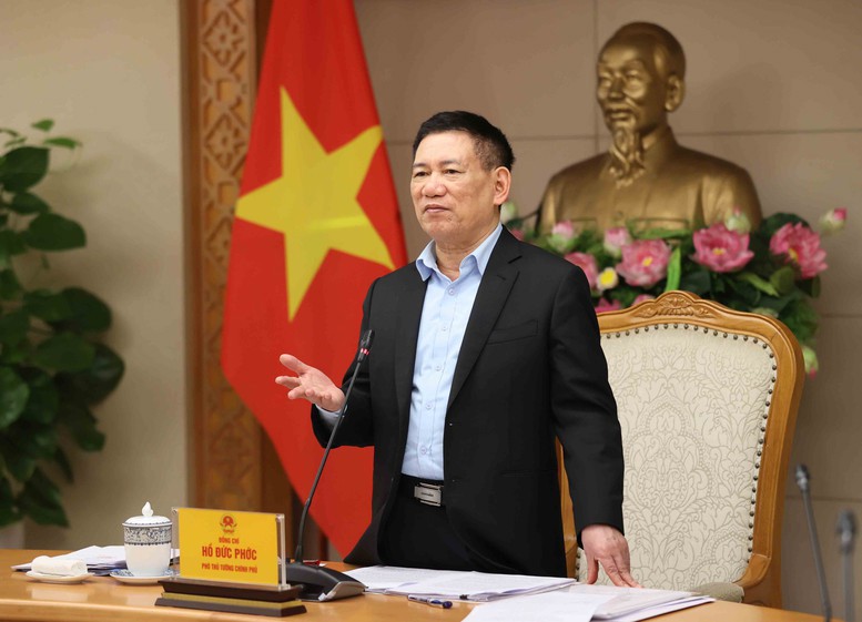 Ph&oacute; Thủ tướng Hồ Đức Phớc ph&aacute;t biểu kết luận cuộc họp. Ảnh VGP/Trần Mạnh