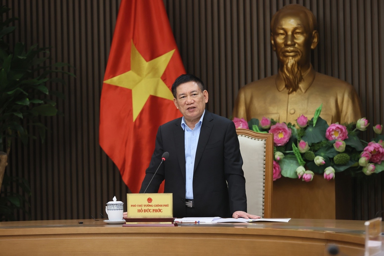 Phó Thủ tướng Chính phủ Hồ Đức Phớc phát biểu tại buổi làm việc.