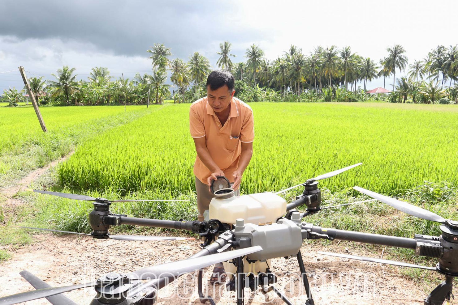 Ông Hồ Thanh Liêm (tỉnh Sóc Trăng) cho biết, sử dụng máy bay không người lái giúp giảm chi phí sản xuất mùa vụ, tăng lợi nhuận sau thu hoạch lúa. Ảnh: Thúy Liễu