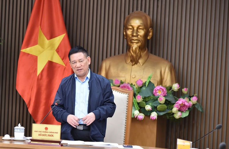 Ph&oacute; Thủ tướng Hồ Đức Phớc ph&aacute;t biểu tại cuộc họp.