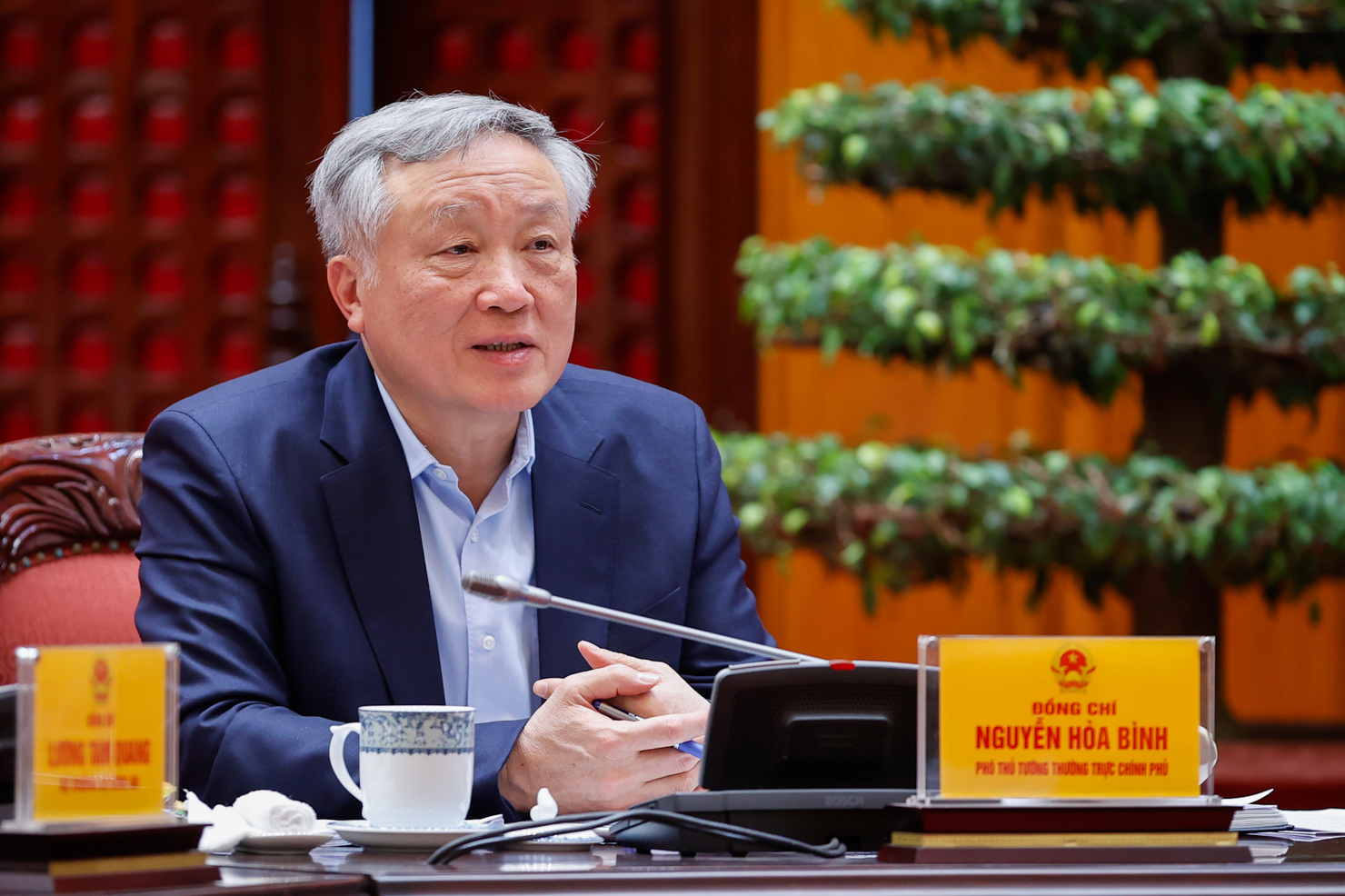 Ph&oacute; Thủ tướng Thường trực Ch&iacute;nh phủ Nguyễn H&ograve;a B&igrave;nh ph&aacute;t biểu tại cuộc họp - Ảnh: VGP/Nhật Bắc