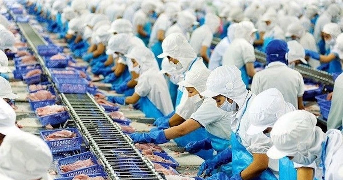 VASEP kỳ vọng, năm 2025, xuất khẩu thủy sản sẽ tiếp tục tăng trưởng tốt hơn, có thể vượt mốc 10 tỷ USD và trở lại mốc 11 tỷ USD của năm 2022.