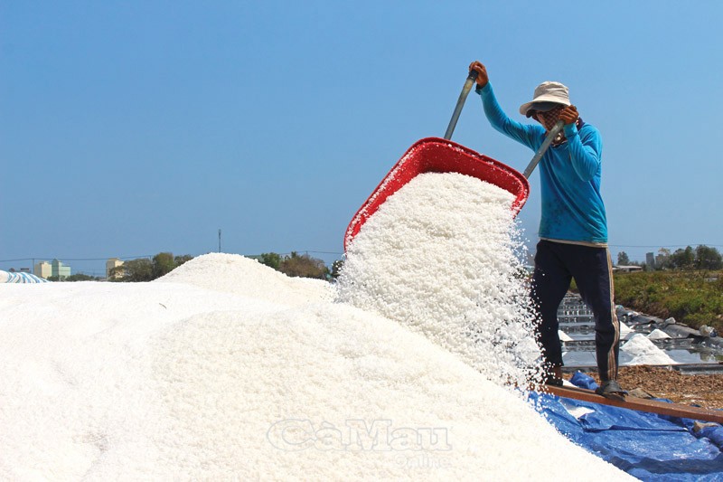 Mua muối đầu năm. Ảnh minh họa: Báo Cà Mau. 