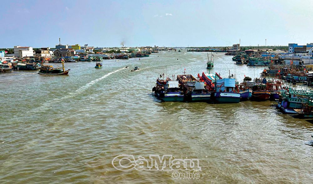 Cửa biển Sông Ðốc có đội tàu khai thác lớn nhất tỉnh Cà Mau. Ảnh: Huỳnh Lâm