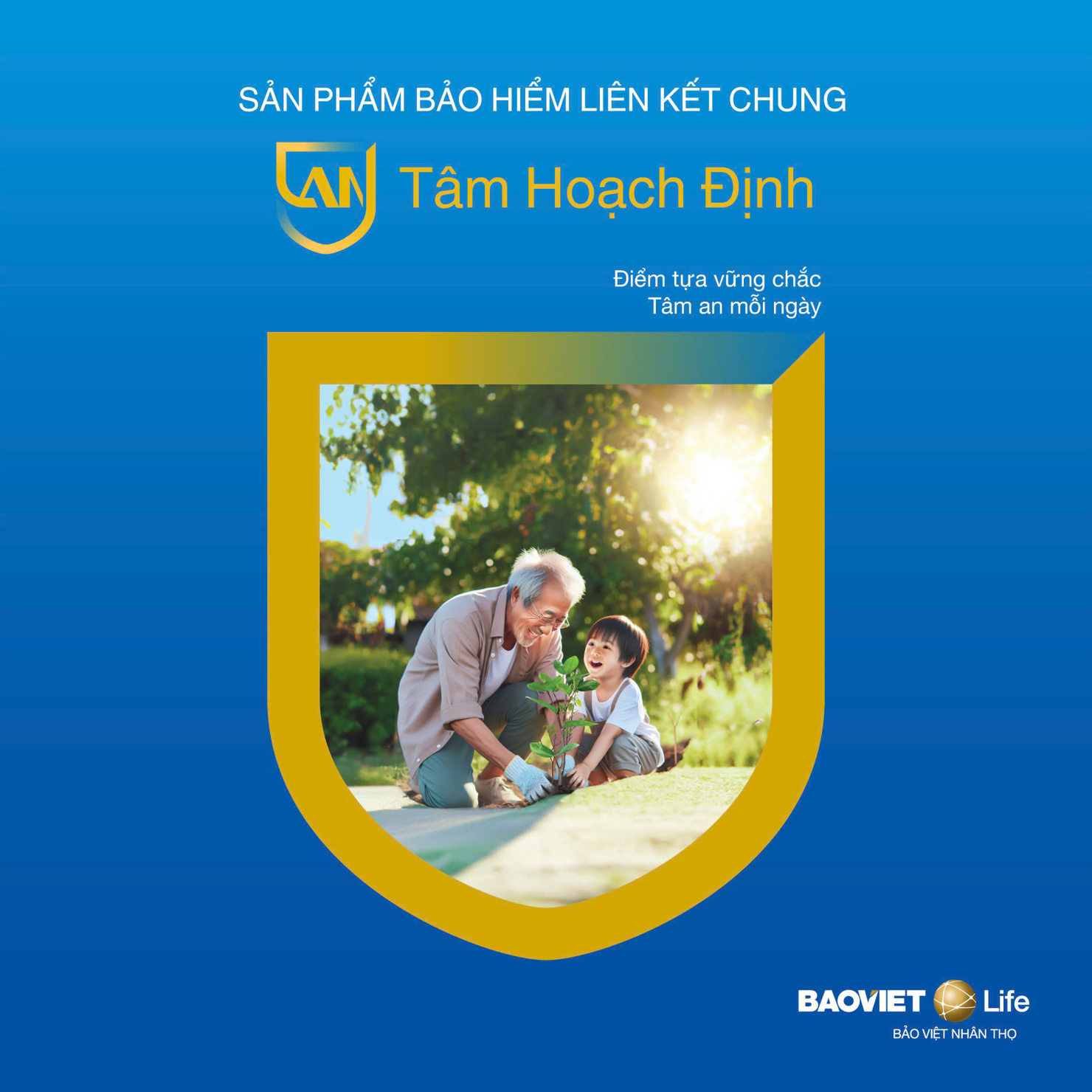 Bên cạnh các quyền lợi về tiết kiệm và đầu tư, An tâm Hoạch định vẫn sẽ đảm bảo quyền lợi bảo vệ trước rủi ro tử vong và thương tật toàn bộ vĩnh viễn.