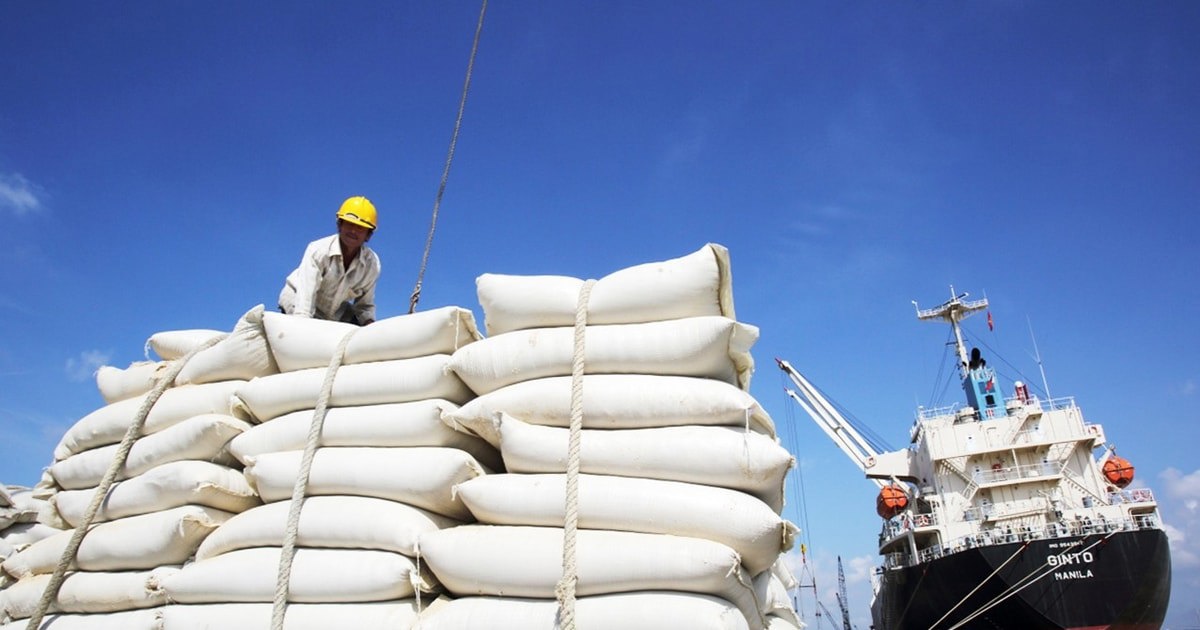 Để ứng phó với tình hình giá gạo đi xuống và tăng sức cạnh tranh, các doanh nghiệp Việt cần có giải pháp nhằm đa dạng hóa thị trường xuất khẩu - Ảnh: ITN