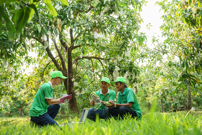 HTX&nbsp;đang trở th&agrave;nh một th&agrave;nh tố quan trọng trong nền kinh tế quốc d&acirc;n