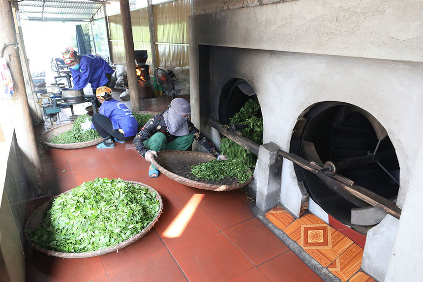 Nhiều HTX đang gặp khó trong việc tiếp cận nguồn vốn tín dụng để phát triển