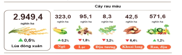 Diện tích gieo trồng một số cây hằng năm (Tính đến ngày 20/3/2025)