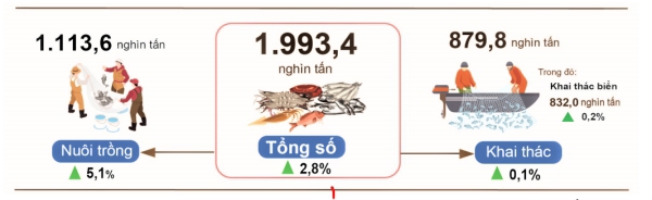 Sản lượng thủy sản quý I năm 2025 so với cùng kỳ năm 2024