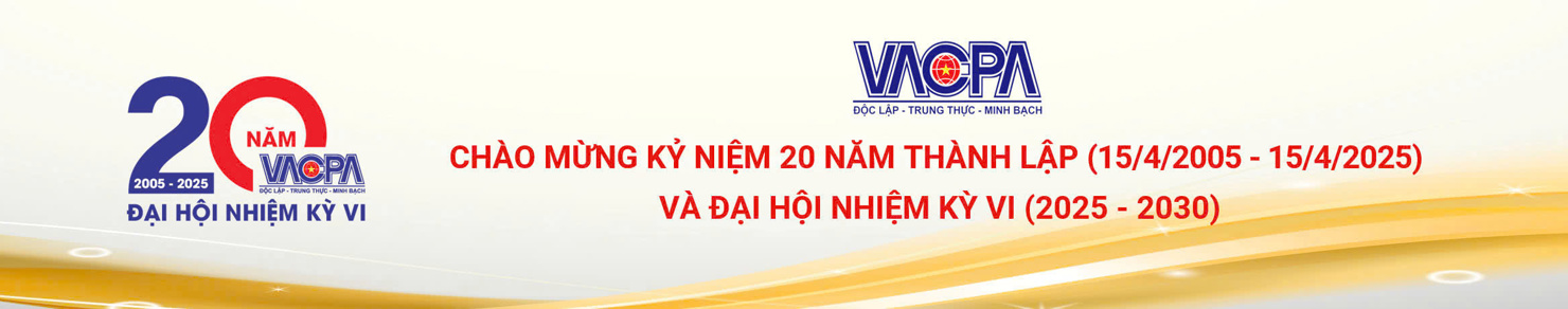 Vai trò của VACPA trong việc quản lý, thúc đẩy sự phát triển của hoạt động kiểm toán độc lập ở Việt Nam - Ảnh 1
