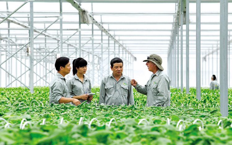 Thu hút nhân lực chất lượng cao đang là bài toán khó đối với các hợp tác xã