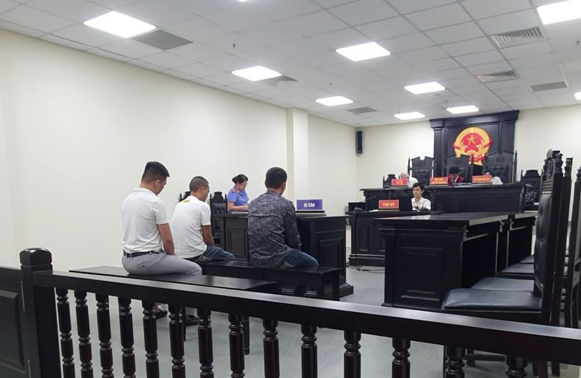 H&igrave;nh ảnh Cao Xu&acirc;n Mạnh (&aacute;o trắng h&agrave;ng tr&ecirc;n), Nguyễn Văn B&aacute; (&aacute;o xanh) v&agrave; Nguyễn Văn Cung (&aacute;o trắng h&agrave;ng dưới) tại phi&ecirc;n t&ograve;a. Ảnh: ENV.